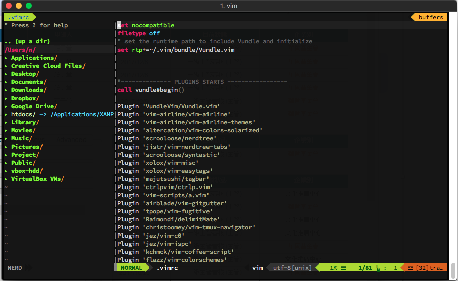 Mac Vim Nice Ui Setting result